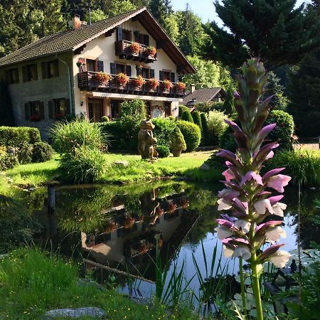 Chambres D'Hotes Des Cascades St-Nicolas Kruth Luaran gambar