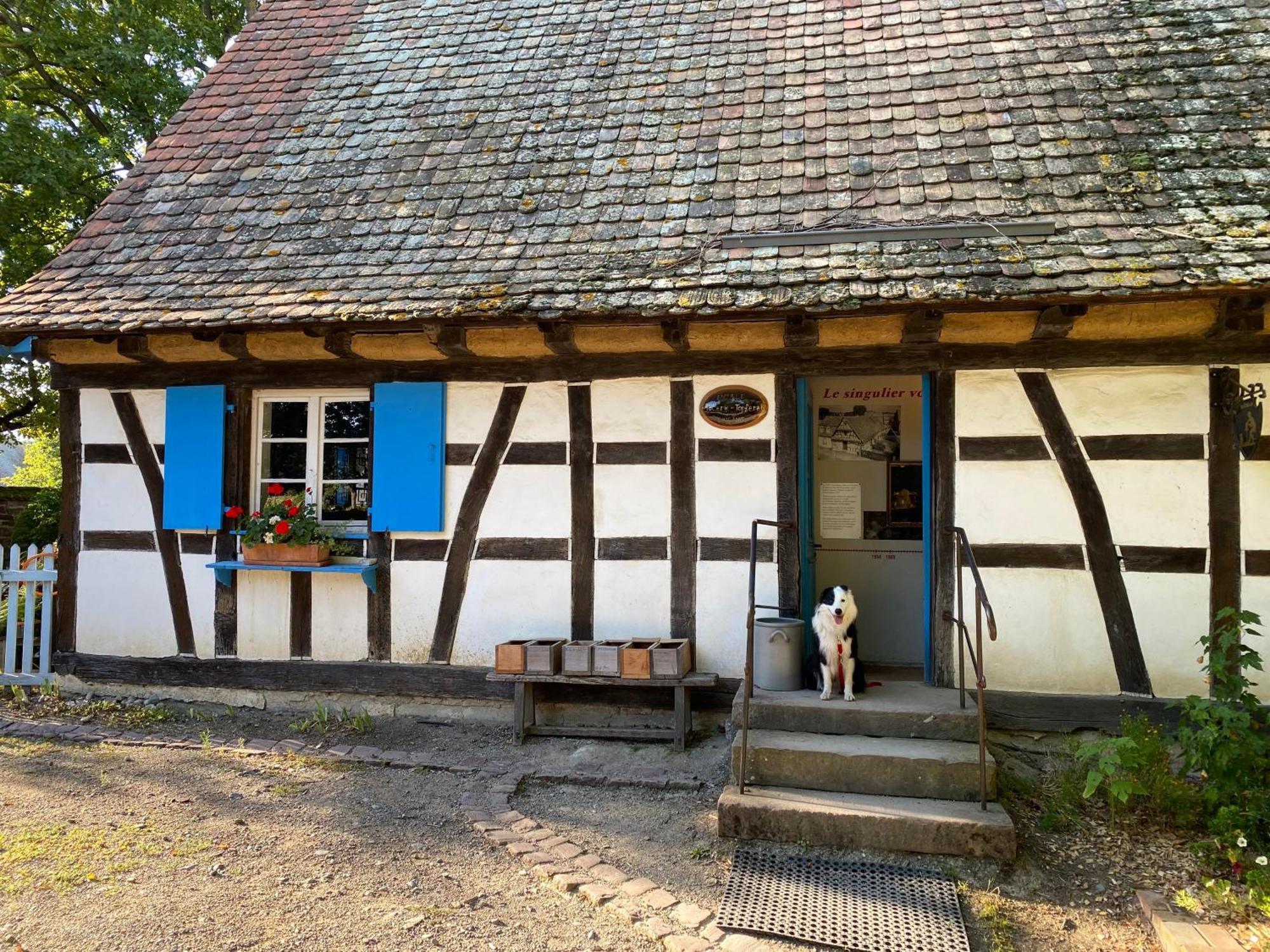 Chambres D'Hotes Des Cascades St-Nicolas Kruth Luaran gambar