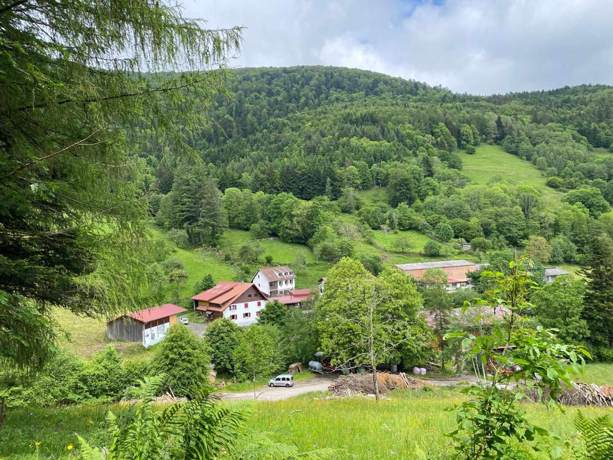 Chambres D'Hotes Des Cascades St-Nicolas Kruth Luaran gambar