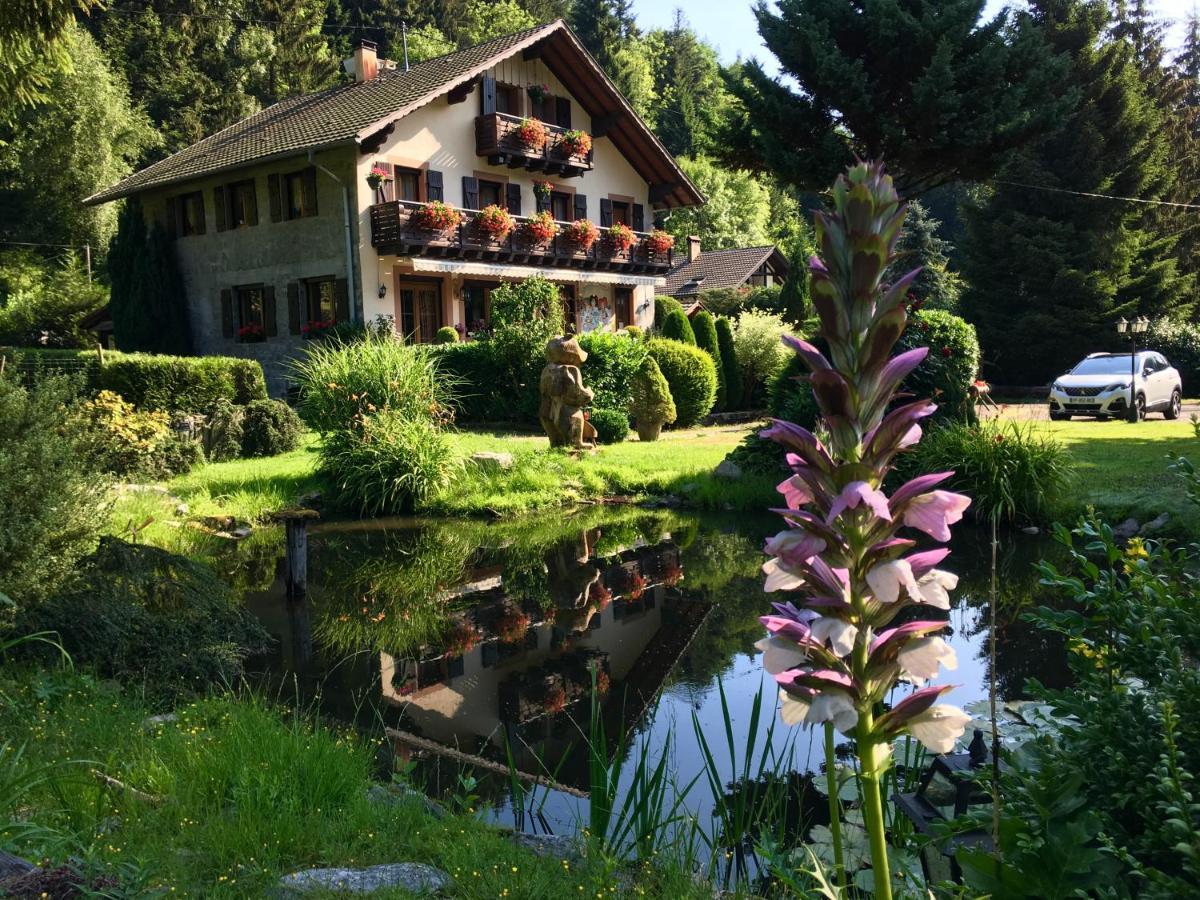 Chambres D'Hotes Des Cascades St-Nicolas Kruth Luaran gambar